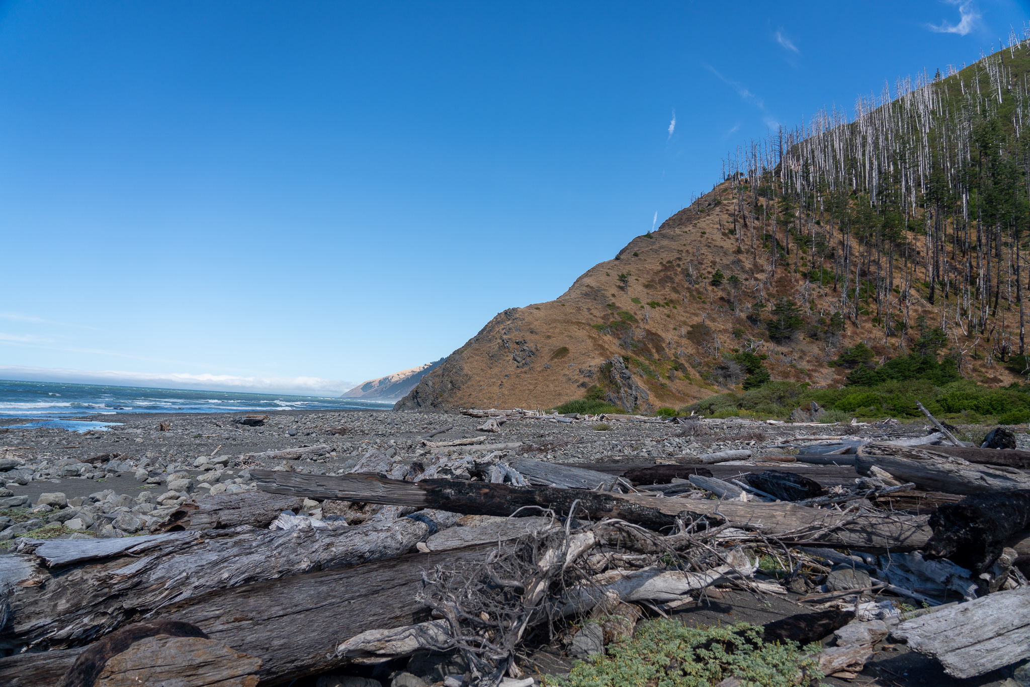 Driftwood, mountain, sky