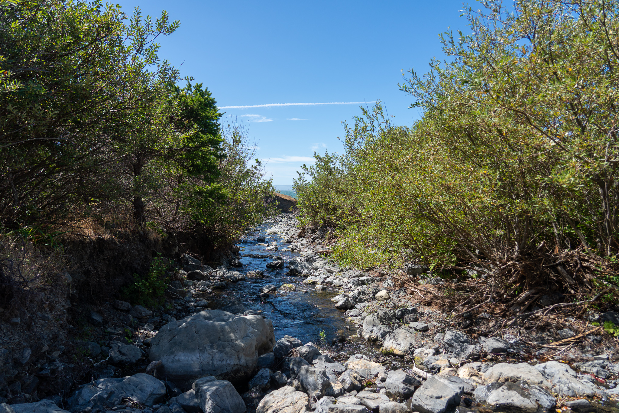 Excellent water source